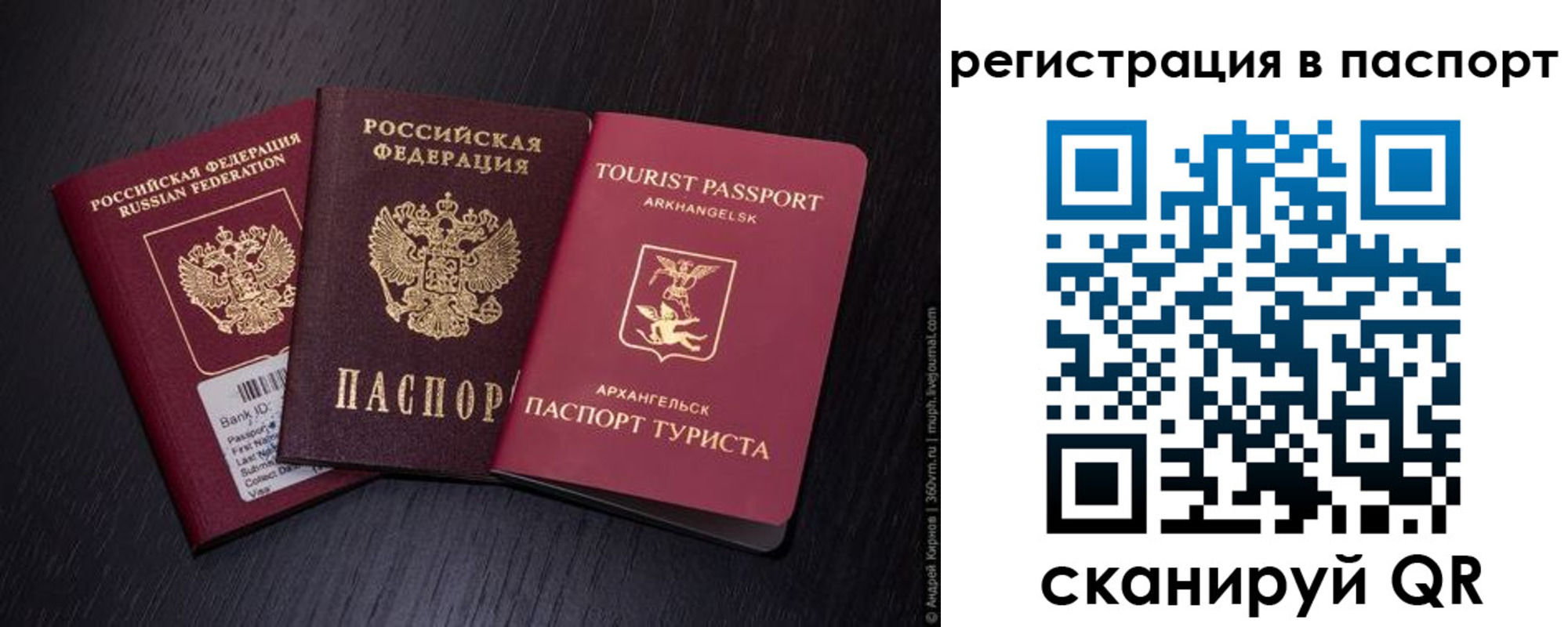 прописка в квартире в Козельске